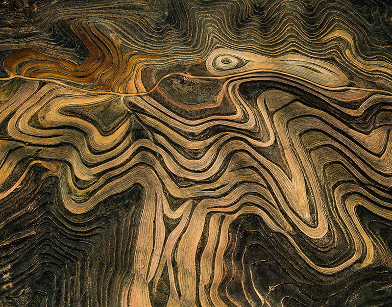 Что сказал Путин на совещании по вопросам развития автономных систем